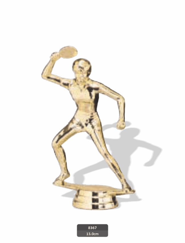 8366-1 Table Tennis Male | 13cm